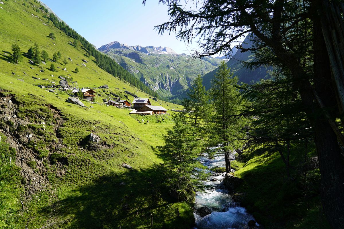 Steiner Almen Osttirol...........