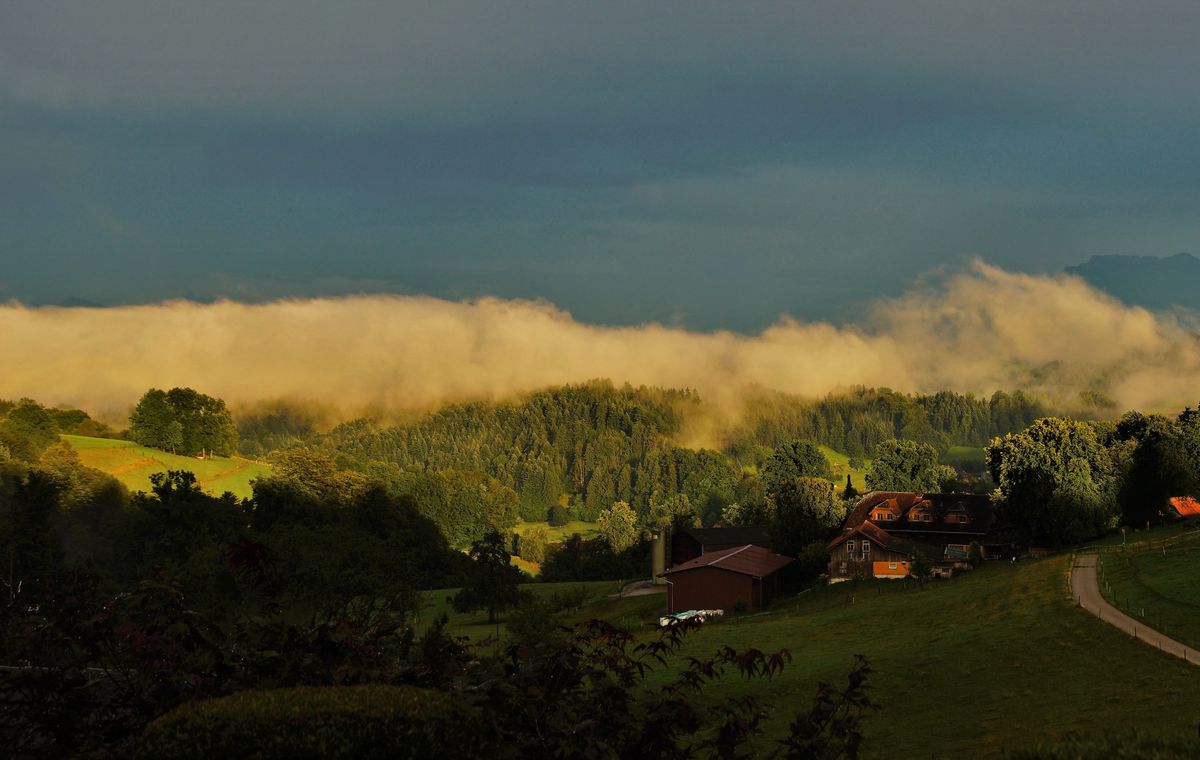 nach dem regen