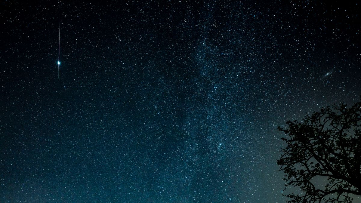 explodierende Perseiden Sternschuppe. Milchstraße mit dem Andromeda Nebel über der Baumkrone.