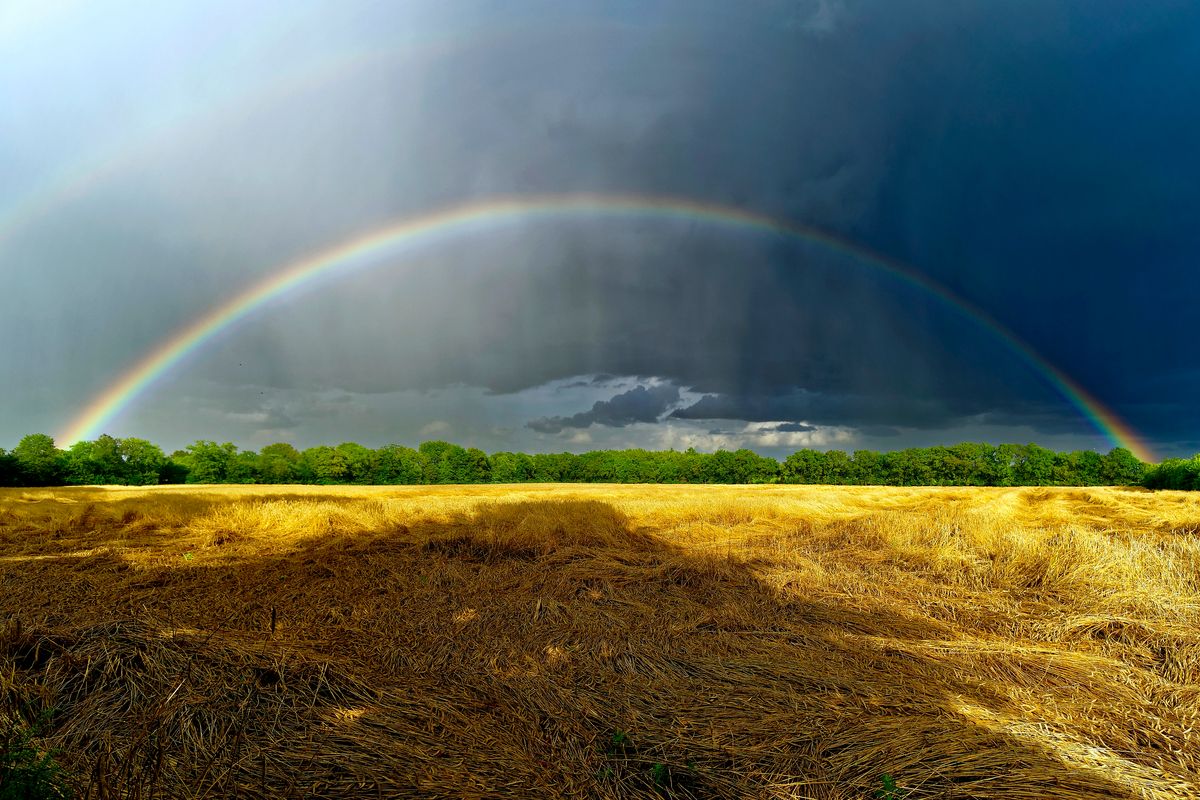 Ein echter Regenbogen, vor der vor der Haustür ! Lokation : Schapen im Emsland