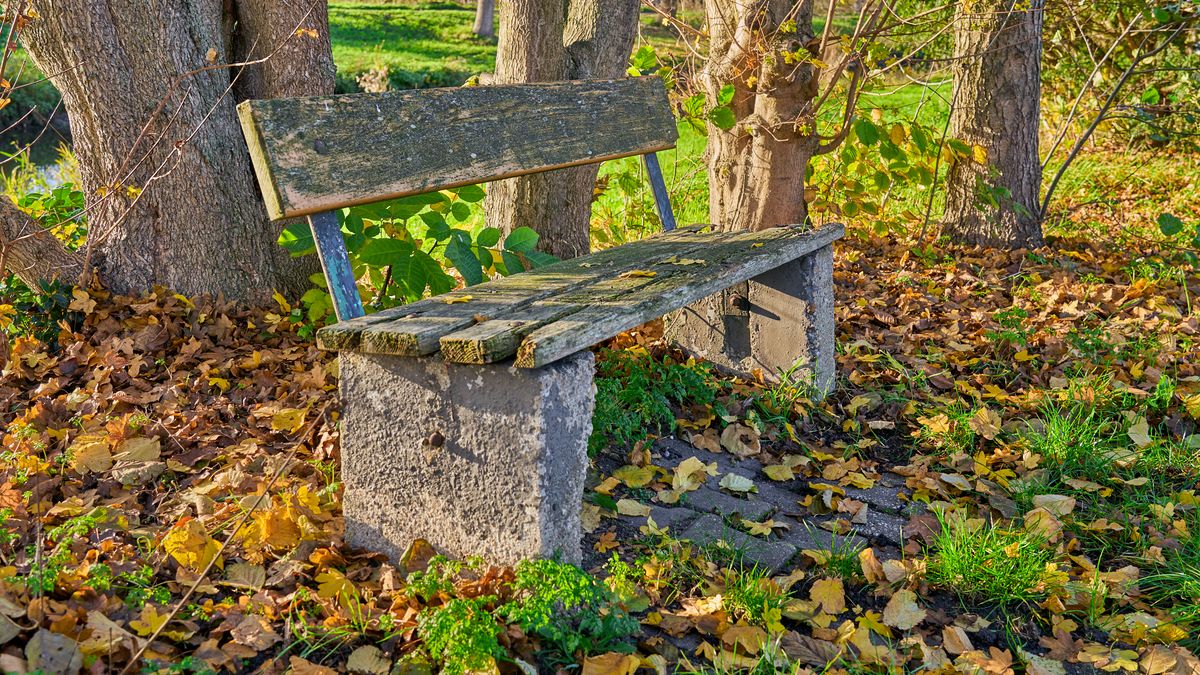 Warten auf den Herbst