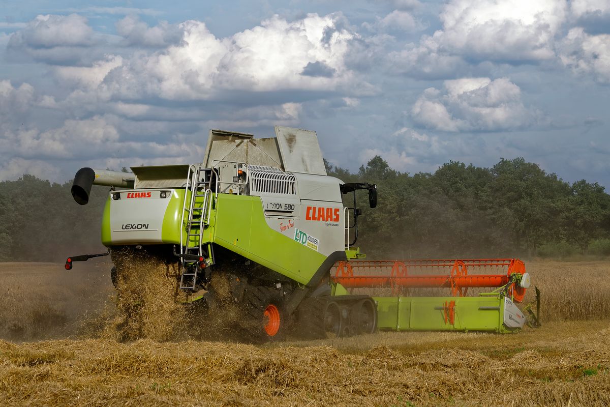 Ein CLAAS Mähdrescher von Typ LEXION 580, mit TERRA TRAC Raupenlaufwerk erntet ein Roggenfeld ab.