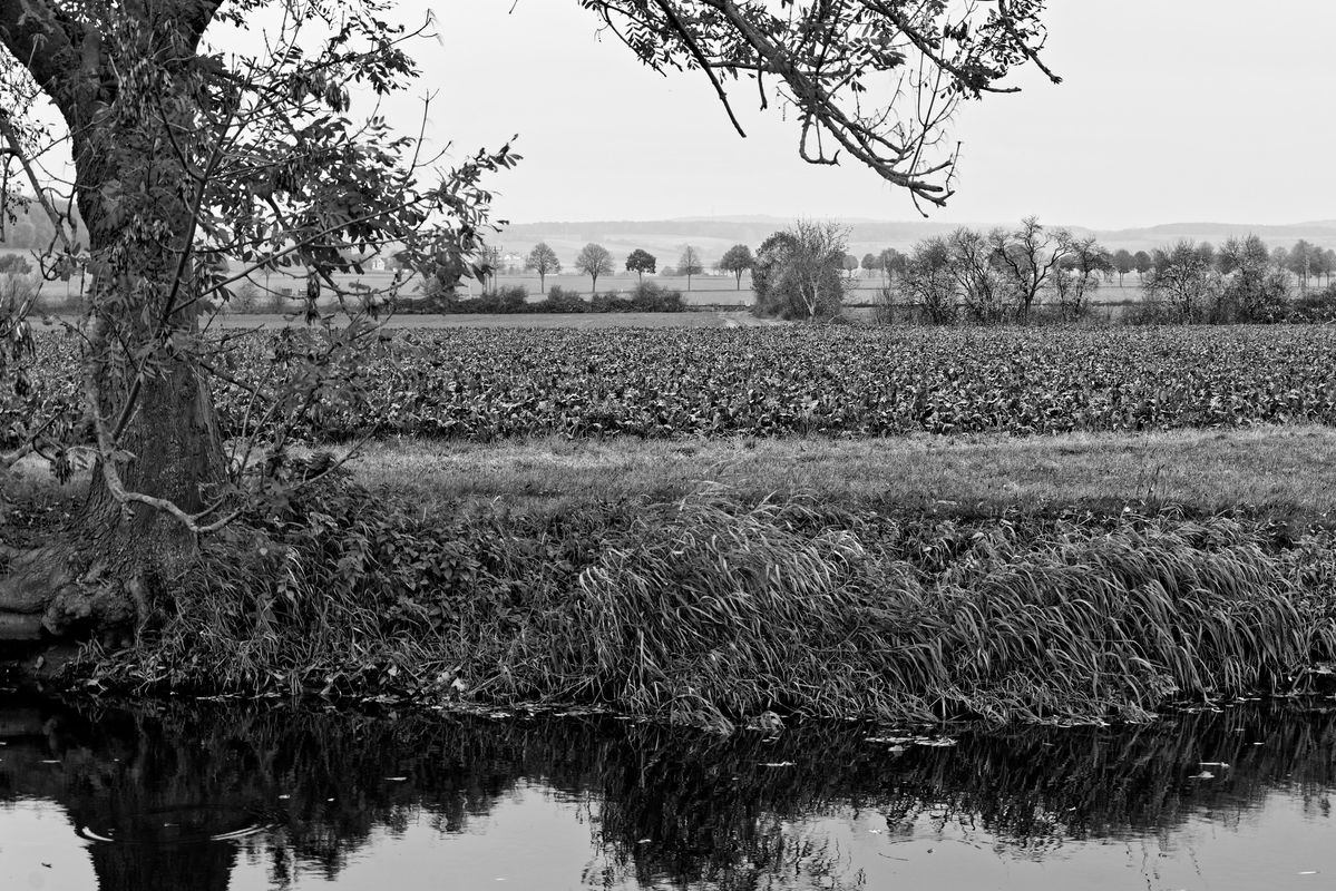 Die Leine südlich von Göttingen bei Niedernjesa