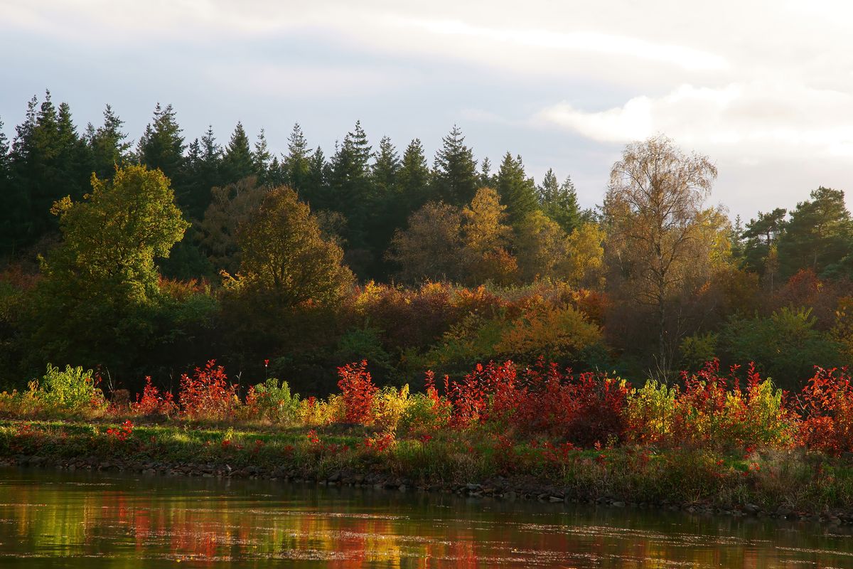 Der Herbst in Jahr 2021 / Der Dortmund-Ems-Kanal (DEK) bei Venhaus (Spelle), dieser verbindet den Ruhrpott mit der Nordsee