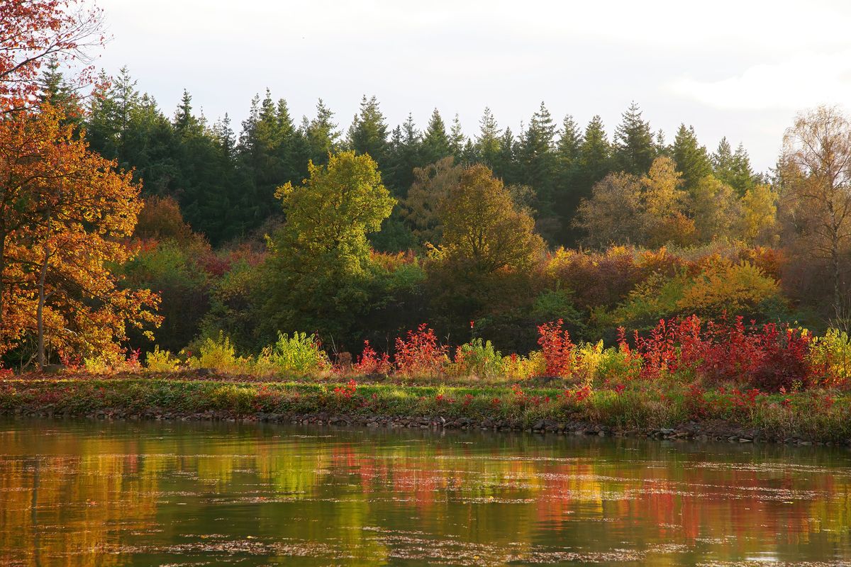 Der Herbst in Jahr 2021 / Der Dortmund-Ems-Kanal (DEK) bei Venhaus (Spelle), dieser verbindet den Ruhrpott mit der Nordsee