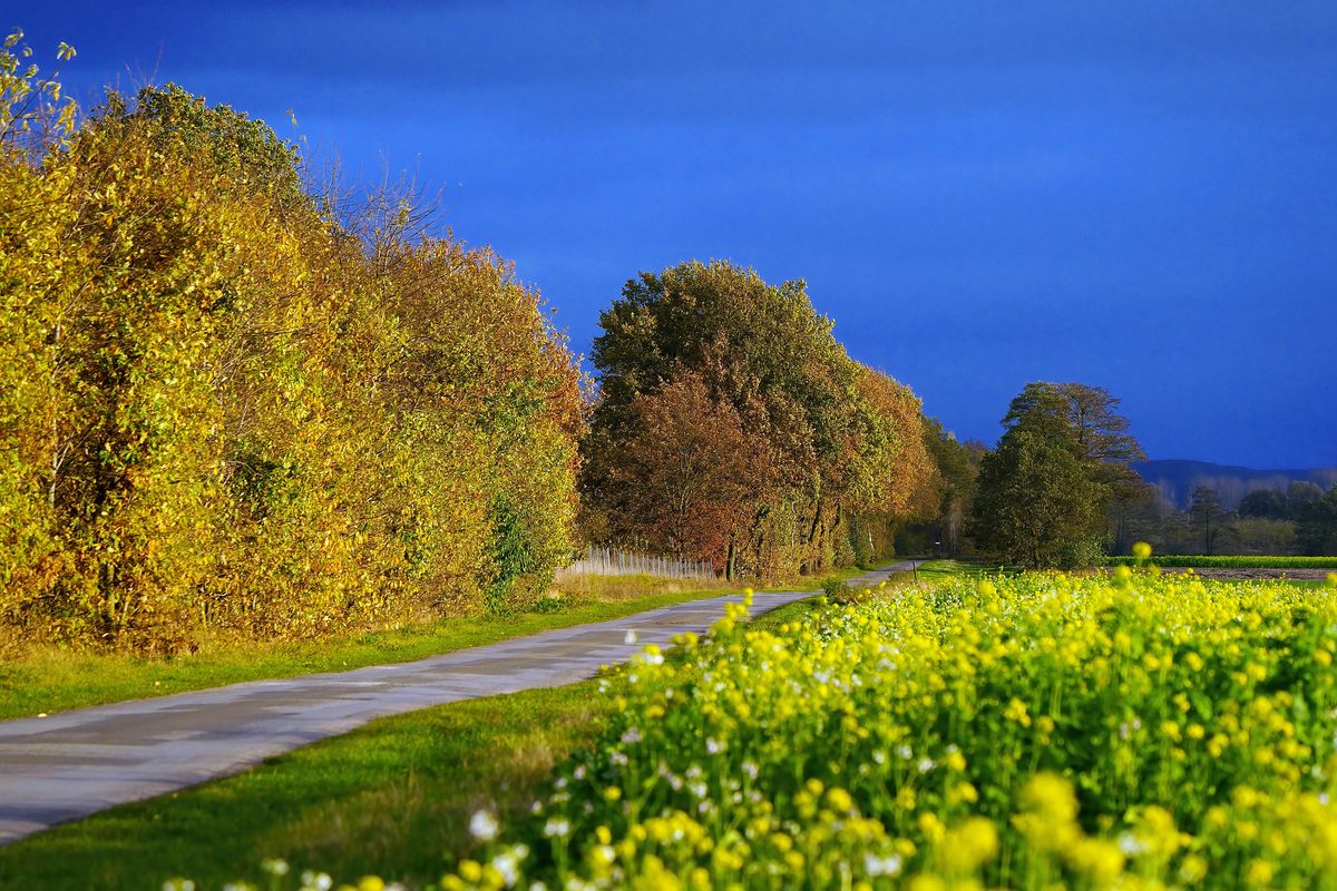 Der Herbst in Jahr 2021 / Herbstlandschaft in Schapen