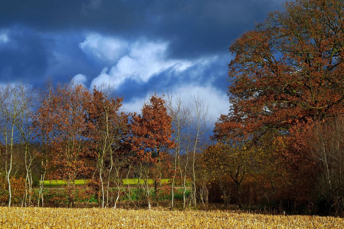 Der Herbst in Jahr 2021 / Herbstlandschaft in Schapen