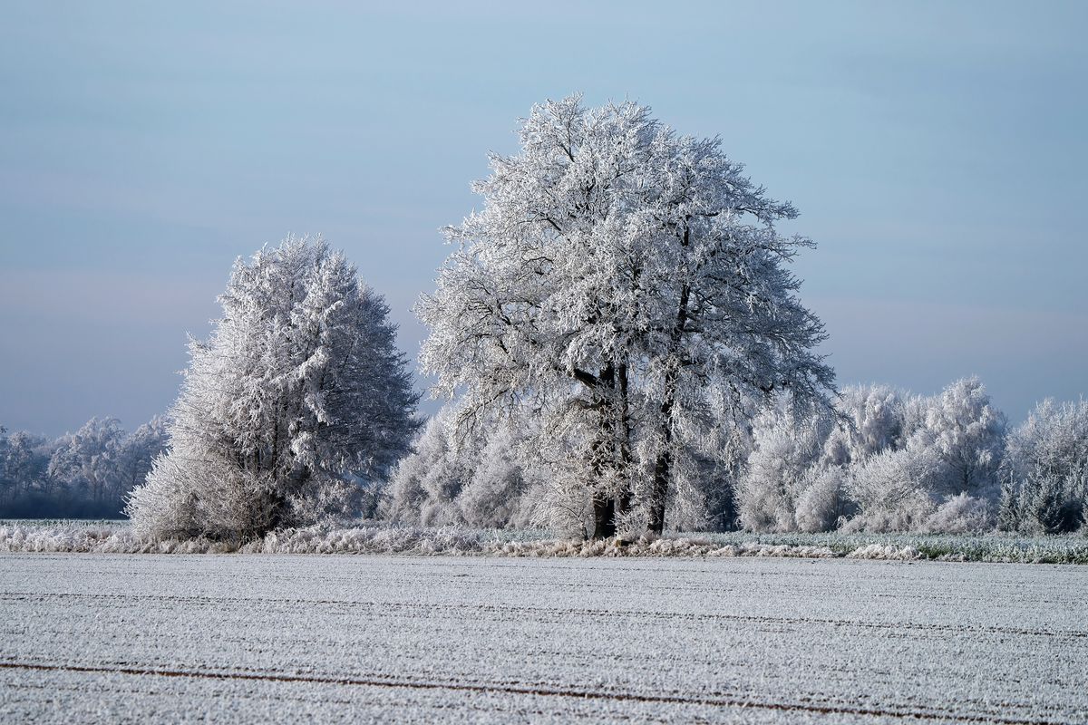 Der Winter in Jahr 2021 / Eine mit Raureif eingehüllte Landschaft, in den Winterlichen Outback von Schapen