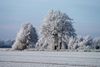 Der Winter in Jahr 2021 / Eine mit Raureif eingehüllte Landschaft, in den Winterlichen Outback von Schapen