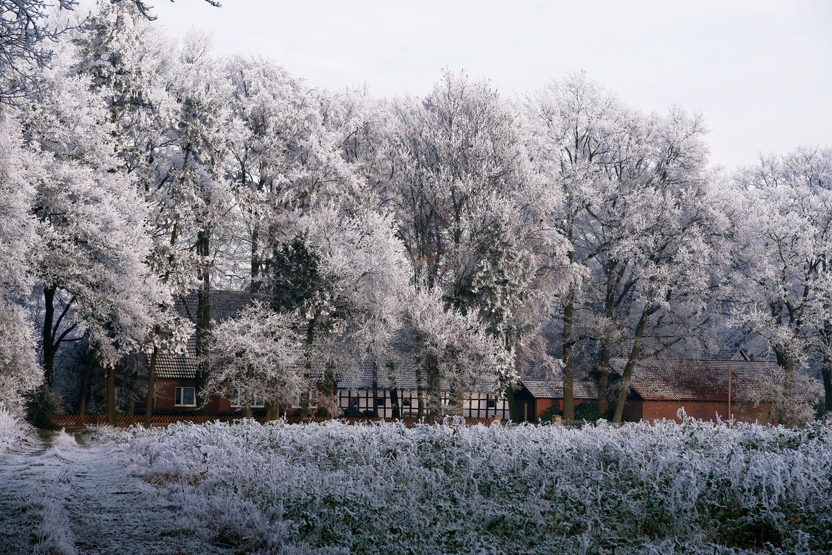 Der Winter in Jahr 2021 / Eine Winterliche  Landschaft mit einen  Landwirtschaftlichen Gehöft in Schapen