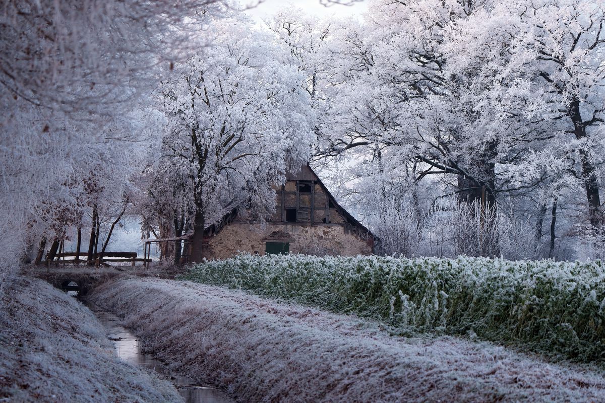 Der Winter in Jahr 2021 / Eine Winterliche  Landschaft mit einen Landwirtschaftlichen Gehöft in Schapen