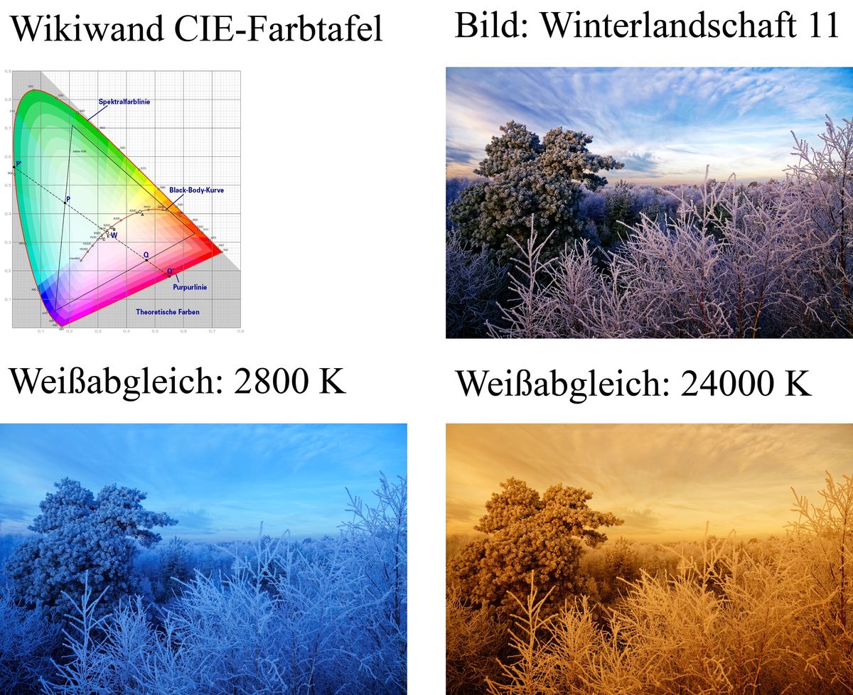 In der Bildmitte und Hintergrund ist der Farbeindruck normal. Der Raureif in Bildvordergrund erreicht aber fast die Purpurlinie wie in der Wikiwand : CIE-Normfarbtafel dargestellt. Das Bild wurde leicht nachgetont, in Original ist die Farbe Magenta vorhanden, aber nicht so dominant ausgeprägt. Daher ist wie manche User glauben, eine Anpassung über den Weißabgleich nicht Zielführend.