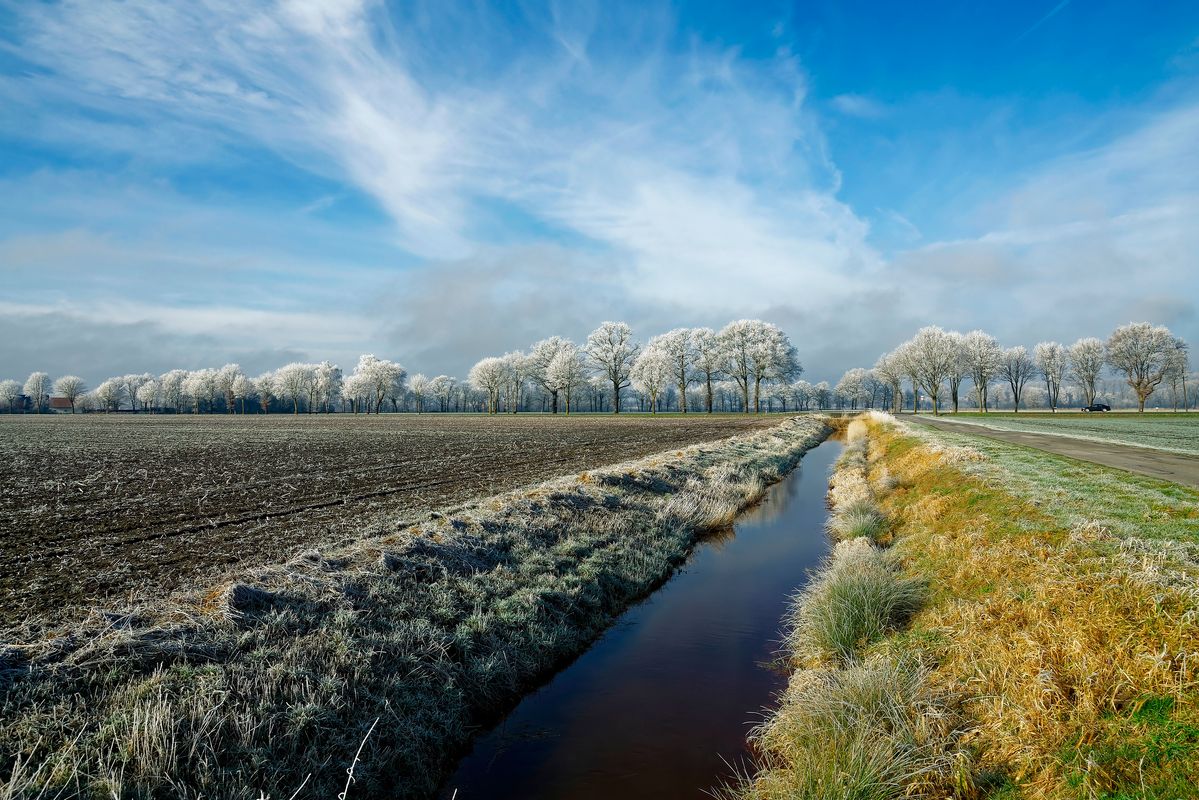 Der Winter in Jahr 2021 / Eine Winterliche  Landschaft mit Raureif bedeckten Bäumen in Outback von Schapen