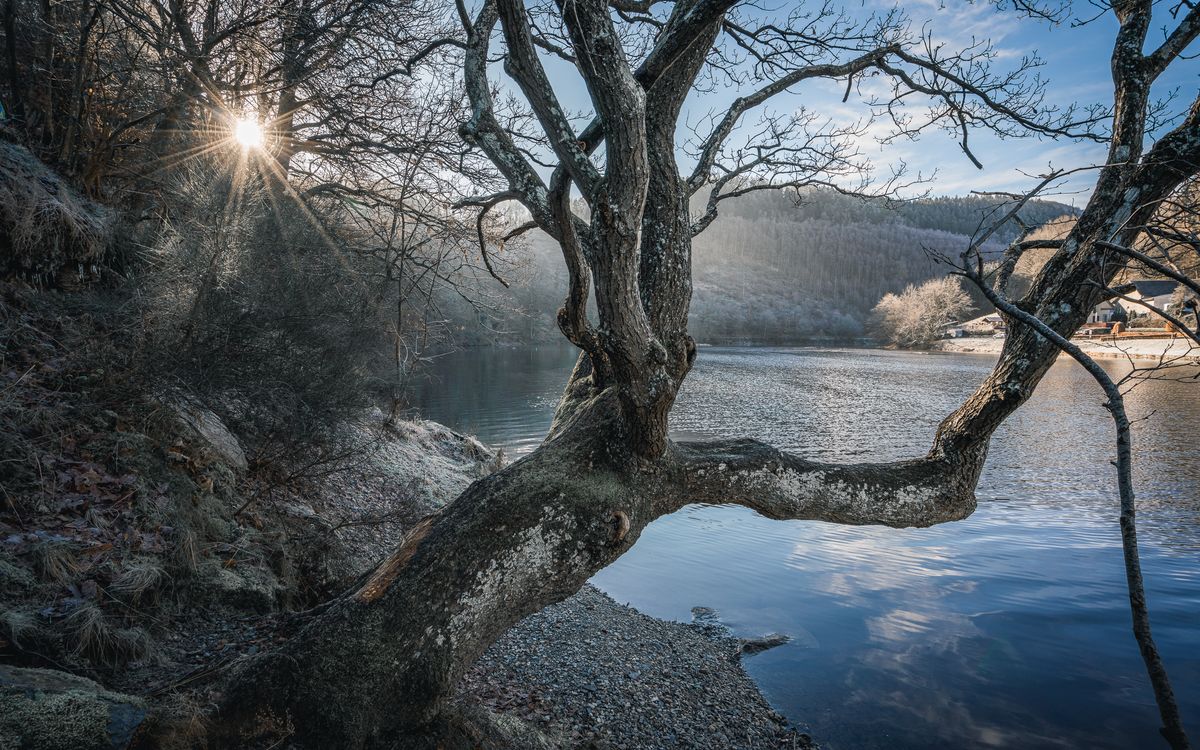 Frostiger Wintermorgen im Nationalpark Eifel. @mightypvp