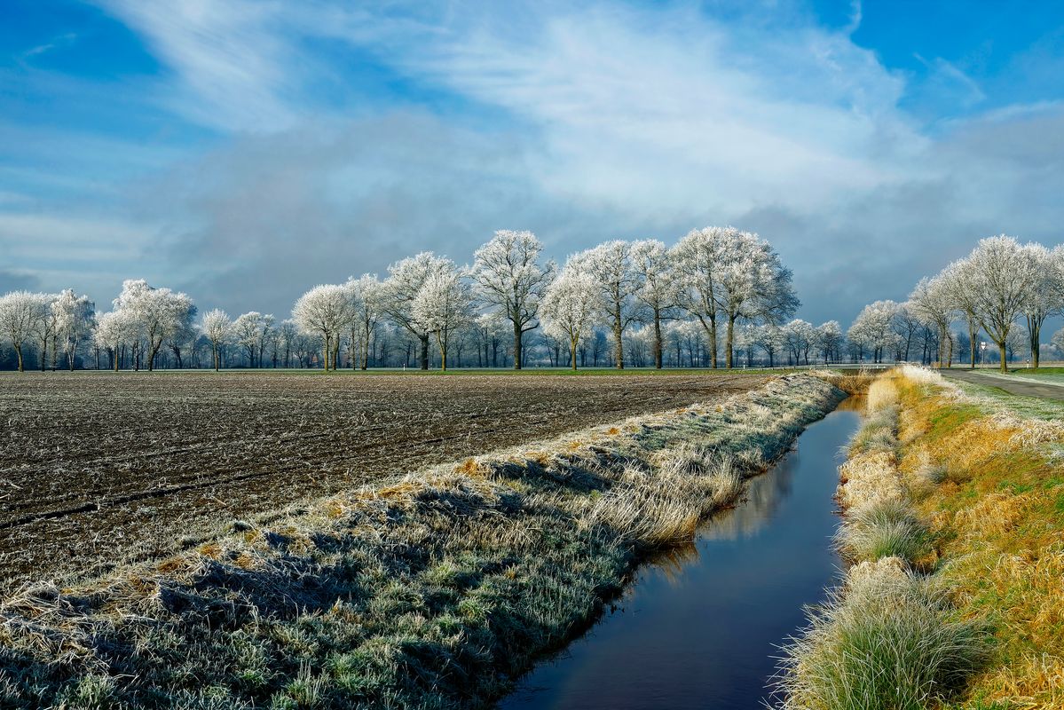 Der Winter in Jahr 2021 / Eine Winterliche Landschaft mit Raureif bedeckten Bäumen in Outback von Schapen. Diese Aufnahme zeigt das gleiche Motiv wie bei der Winterlandschaft 14, aber es wurde mit zwei Stufen herangezoomt.