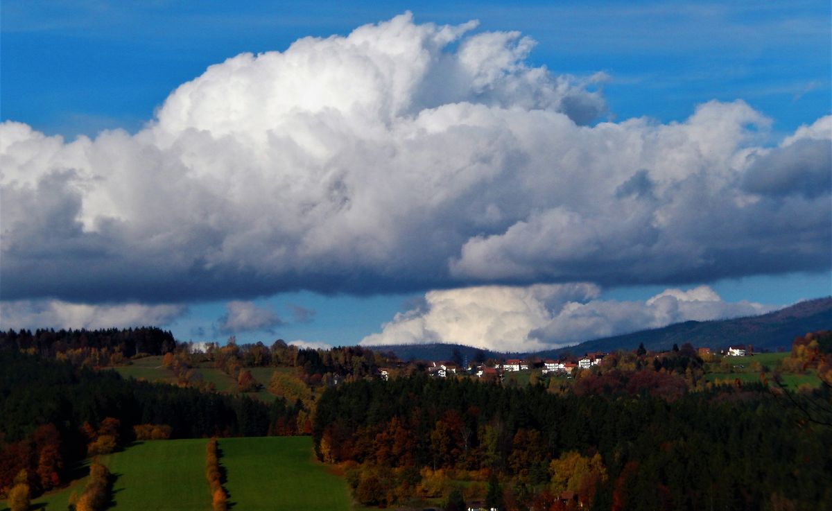 Aufgenommen im Bayerischen Wald..JPG