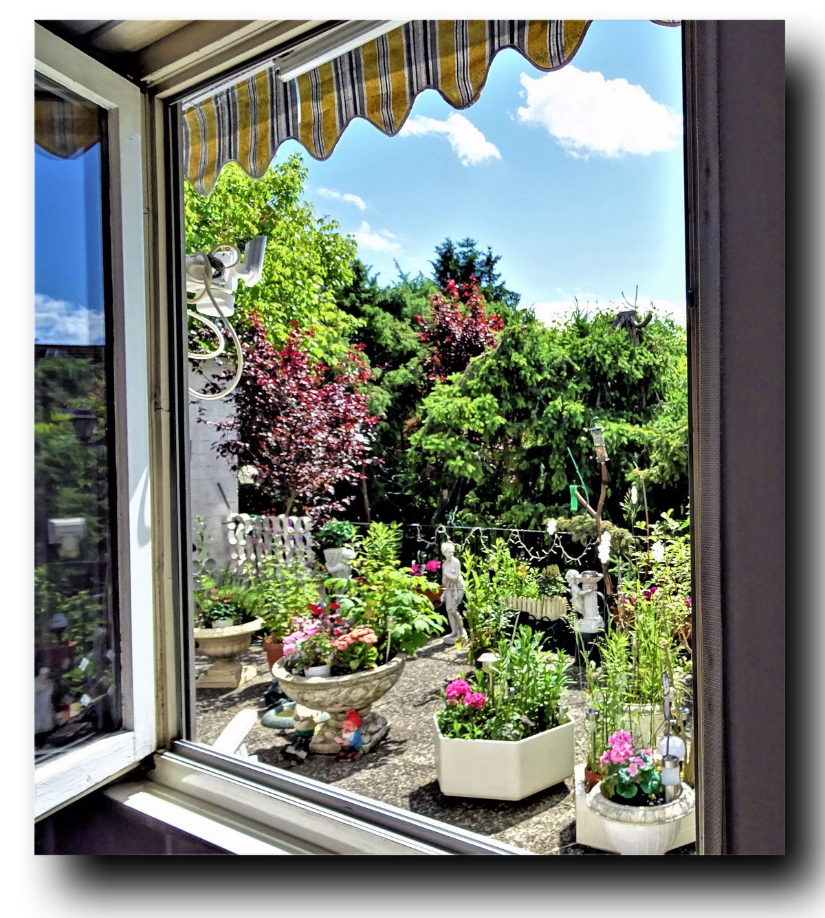 Blick-aus-dem-Fenster-r.jpg