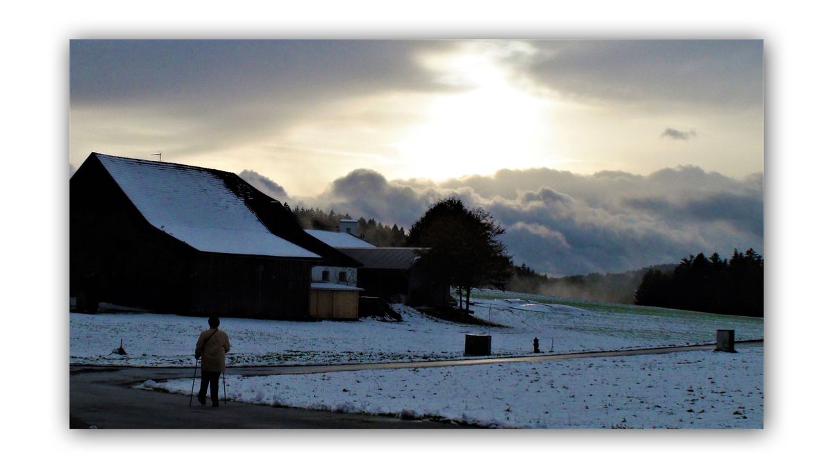 urlaub Bayerischer Wald.jpg