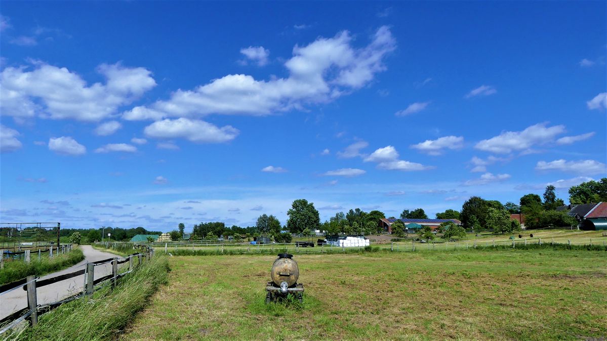 2 Landschaft in Berlin Lübars.jpg