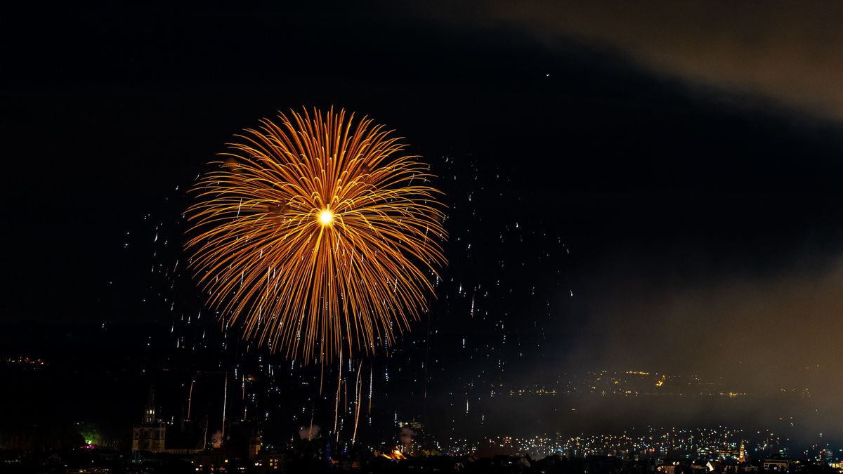 Feuerwerk Konstanz 2022