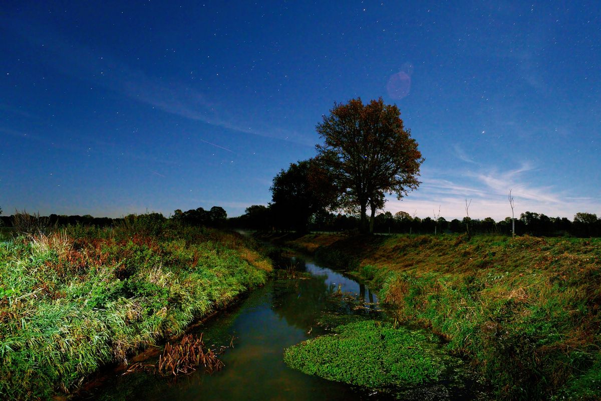 Vor der "Haustür", das Fließgewässer "Giegel Aa" in der Nacht, bei Mondlicht. Normalerweise wachsen keine Pflanzen in mitten des Wasserlaufs. Location : Schapen / Emsland