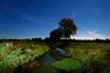 Vor der "Haustür", das Fließgewässer "Giegel Aa" in der Nacht, bei Mondlicht. Normalerweise wachsen keine Pflanzen in mitten des Wasserlaufs. Location : Schapen / Emsland