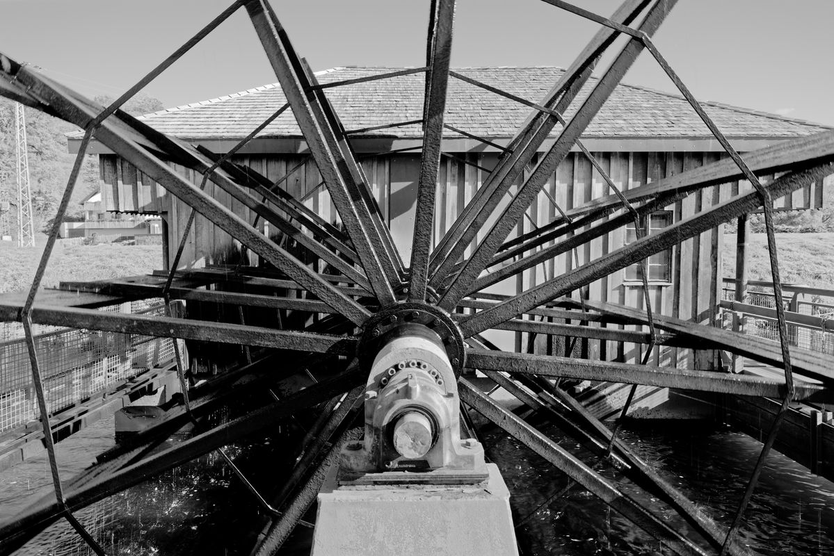 Mühlrad der Flussmühle Höfgen, Mulde, Sachsen