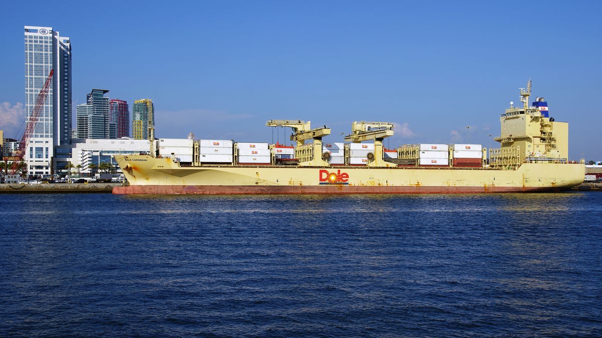 Das Container Ship DOLE CARIBBEAN in Port of San Diego