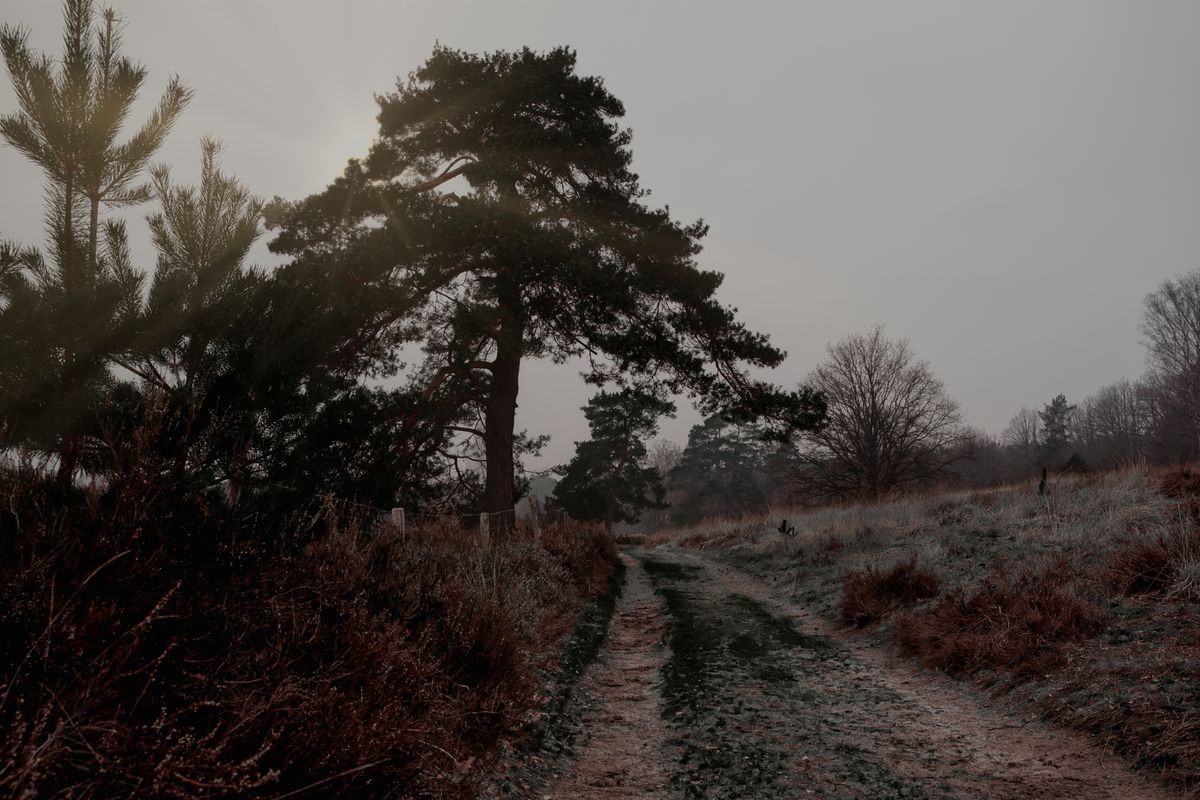 Elfennmeer De Meinweg