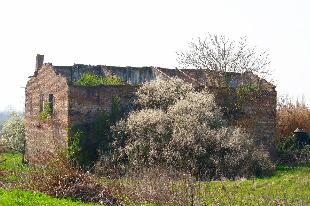 Dieses verlassene Gebäude steht in der Gemeinde Bentivoglio in Italien