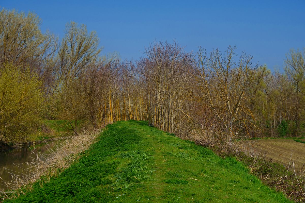 Auf dem Deich des Canale Navile in Oasi La Rizza