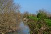 Der Canale Navile in Oasi La Rizza, der Gemeinde Bentivoglio in der Region Emilia-Romagna. Durch eine Leckage ist Wasser bei dem Hochwasser in der 20 Kalenderwoche 2023 in Italien, in den benachbarten See gelaufen. In der Folge wurden die Nester der brütenden Vögel überschwemmt