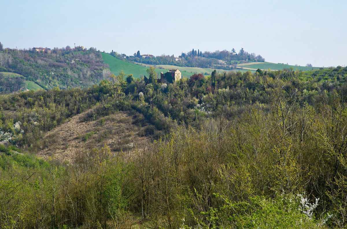 Das Naturschutzgebiet Salse di Nirano von Fiorano Modenese wo die Vulcani di Fango (Schlammvulkane) zu finden sind.