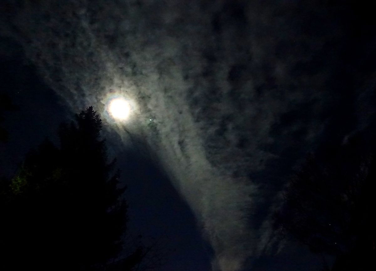 "Kondens- Fächer" vor dem Fast- Vollmond.