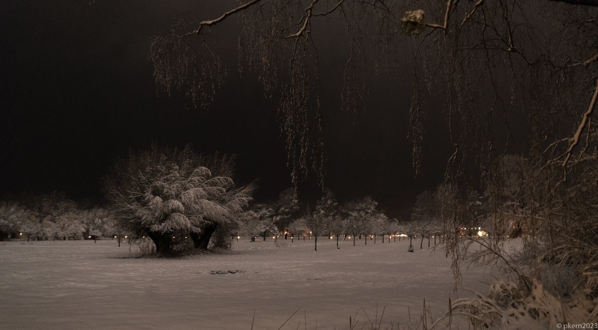 Freihand bei Schneefall...