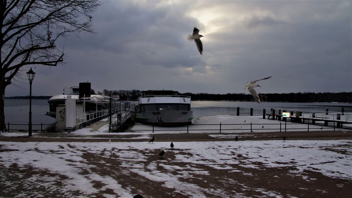 Berlin Tegel.jpg