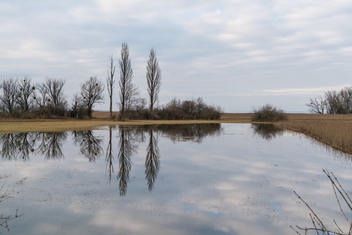 Hoher Wasserpegel schon im Dezember...