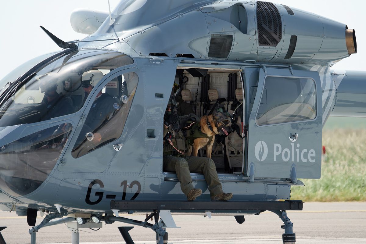 Dieser belgische Schäferhund der Federale Politie, wartet auf seinen nächsten Einsatz, in einen MD 902 Helikopter. Location: Melsbroek Air Base. Event: 75 Years 15th Air Transport Wing