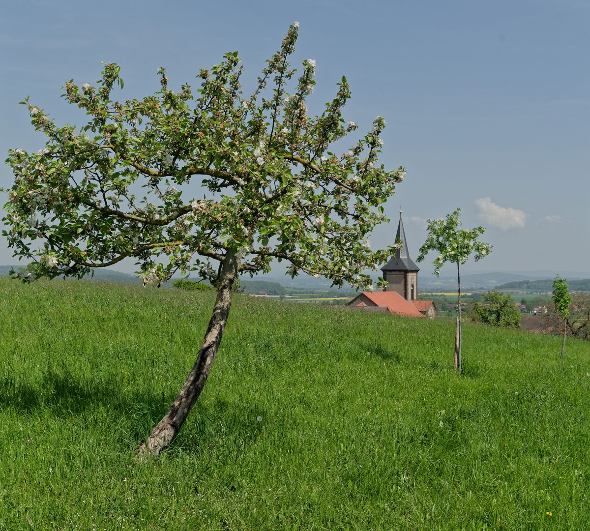 Nördlich von Göttingen bei Lutterhausen mit Blick über das Leinetal Richtung Harz.