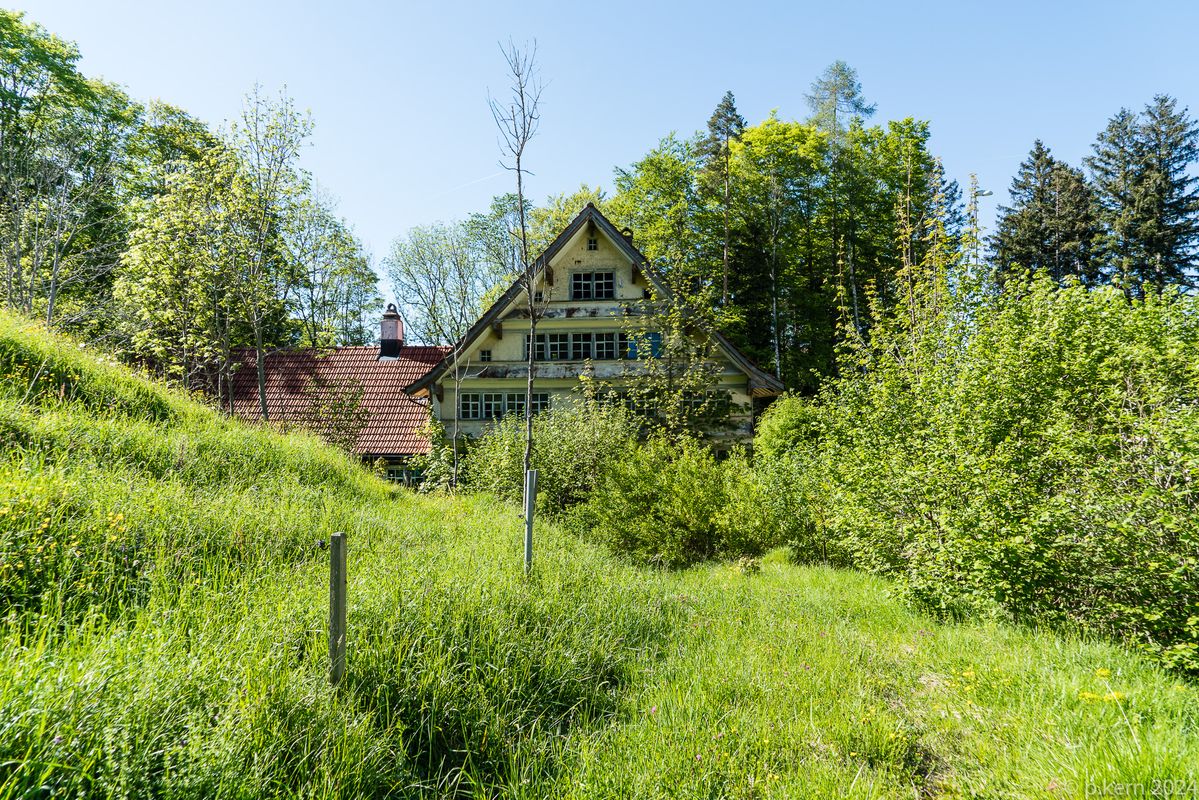 Zugang und Haus sind zugewachsen, es übernimmt die Natur