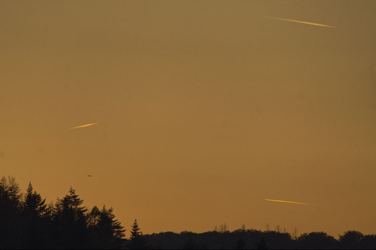 Der Komet Tsuchinshan-Atlas (C/2023 A3) auf der linken Seite mit Flugzeugen am Abendhimmel am 11.10.24 gegen 19.00 Uhr über Mittelhessen.