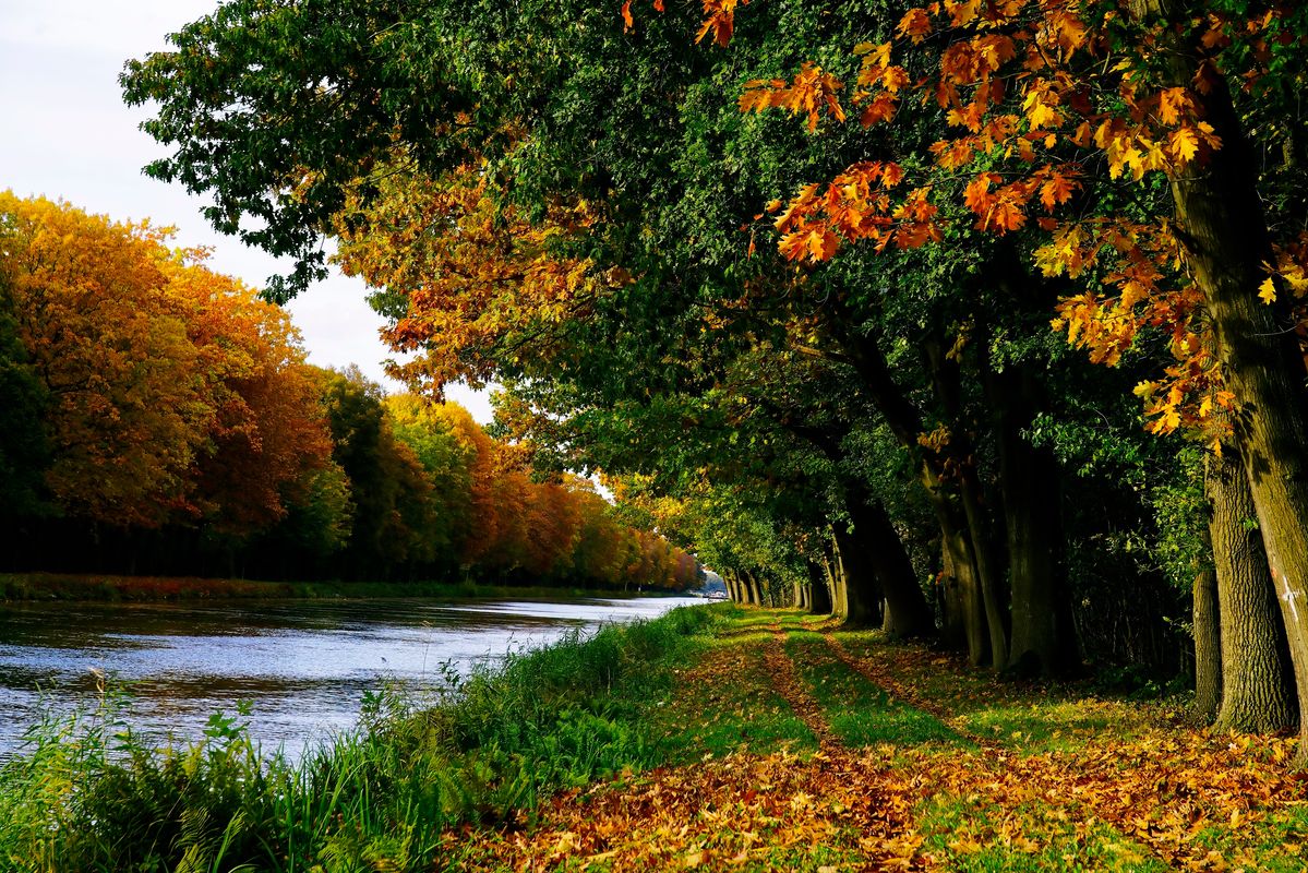 Eine Herbstlandschaft in Jahr 2024 / Der Dortmund-Ems-Kanal (DEK) bei Venhaus (Spelle), dieser verbindet den Ruhrpott mit der Nordsee