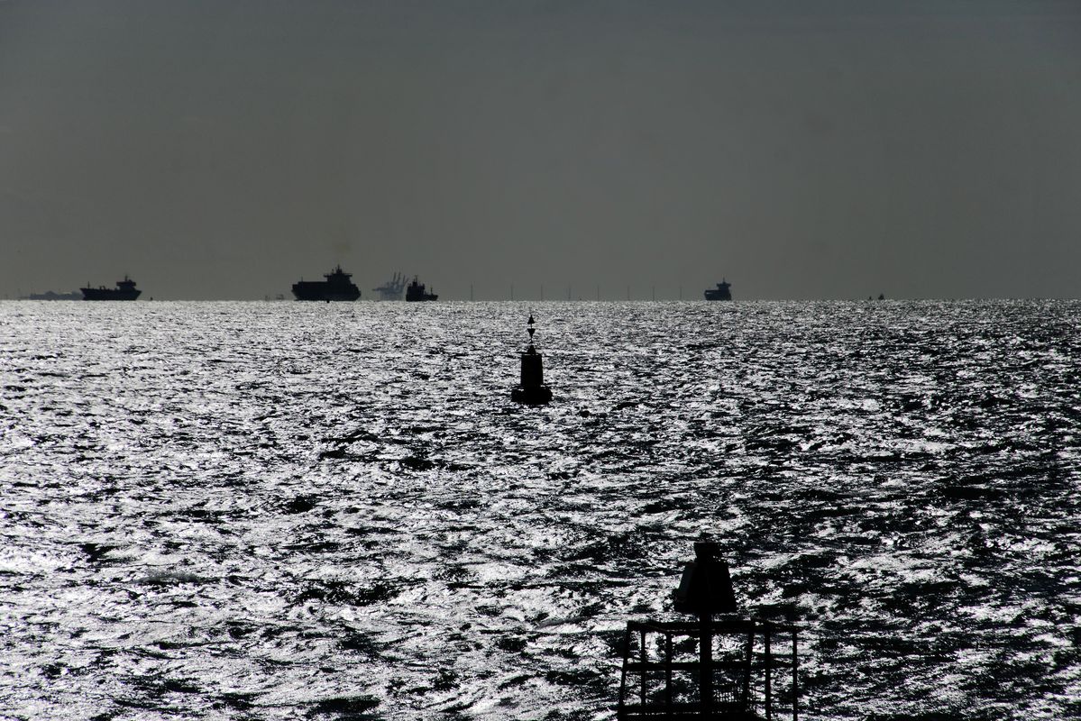 Übergang der Westerschelde zur Nordsee vor Vlissingen