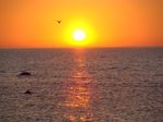 Sunset on the beach in Kurland (Latvia)