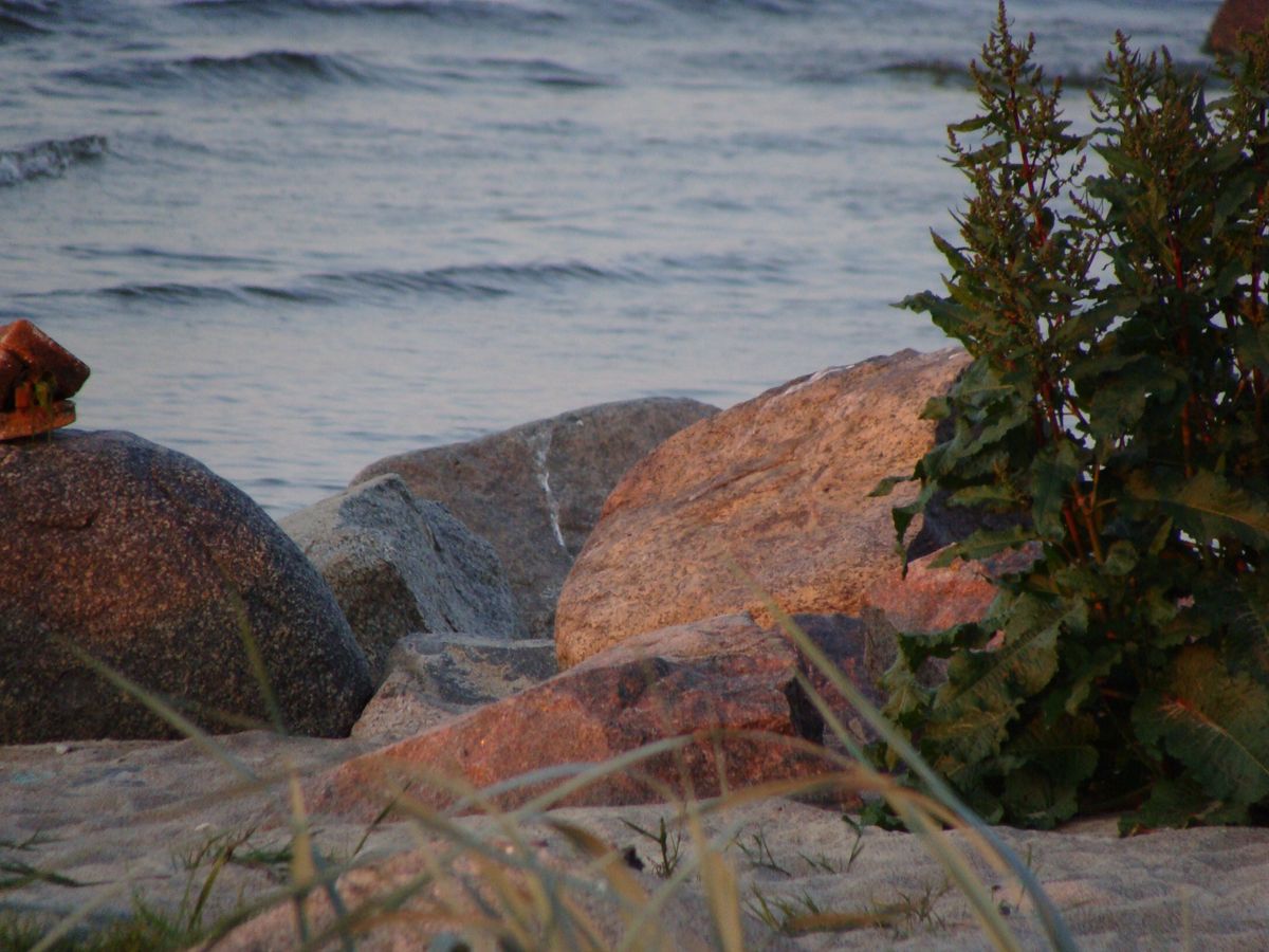 Sunset on the beach in Kurland (Latvia)