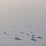 Profile (KP_IceBoundVenture)