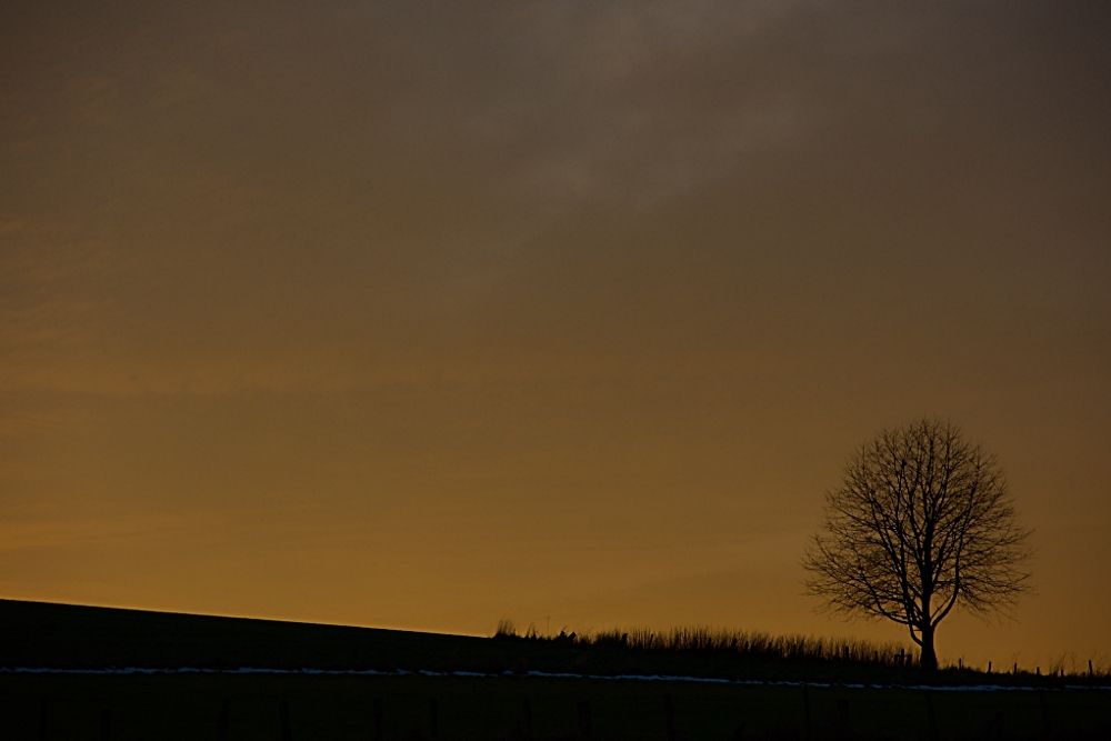 Man läßt den Winter sich noch gefallen.
Man glaubt, sich freier auszubreiten,
wenn die Bäume so geisterhaft,
so durchsichtig vor uns stehen.
Sie sind nicht, aber sie decken auch nichts zu.

Alles hat seine Zeit

Goethe, Johann Wolfgang von (1749-1832)

--
Sony a700 + Carl Zeiss T* DA 16-80 ZA
Entwickelt mit RawTherapee 2.4
Verkleinert und Nachgeschärft mit Gimp 2.6