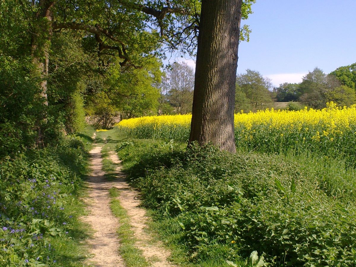 Englands Spring