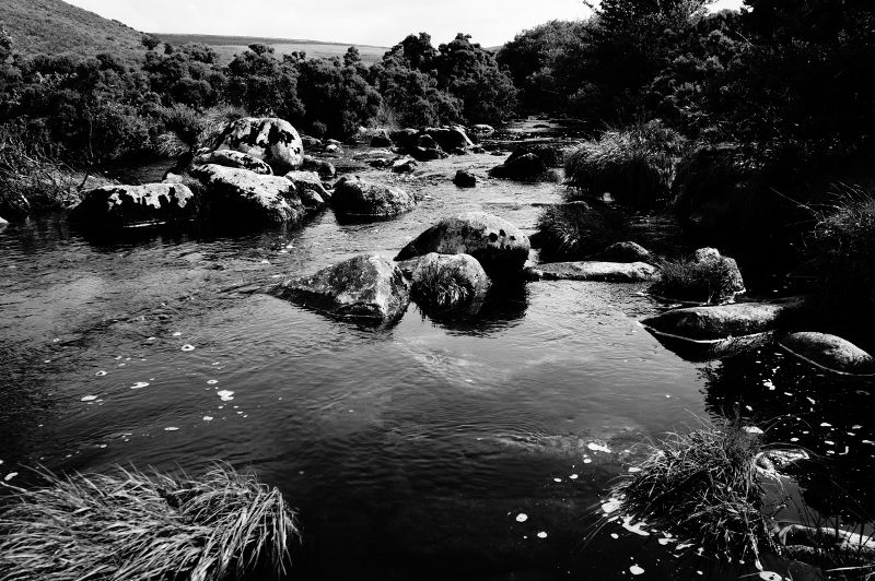 taken on the path to Avon Dam,Dartmoor,Devon.