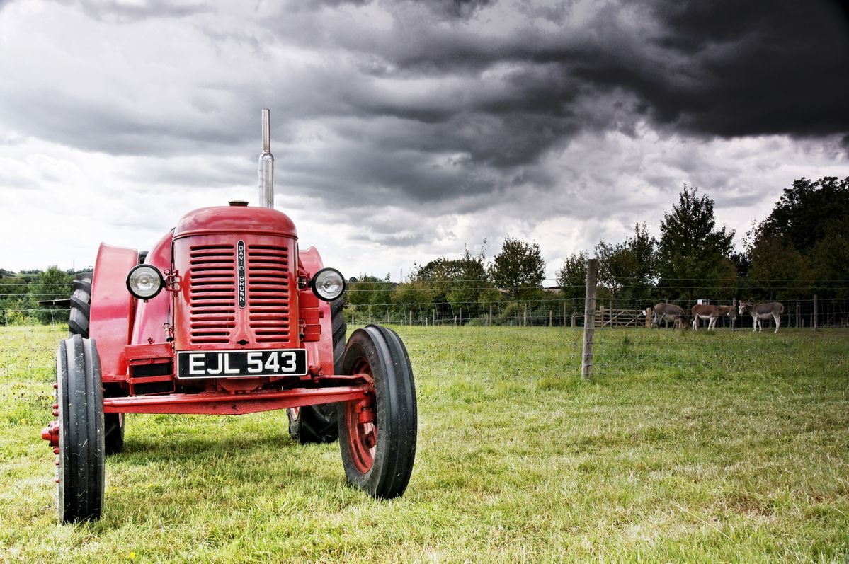 Vintage David Brown tractor at Museum of East Anglian Life